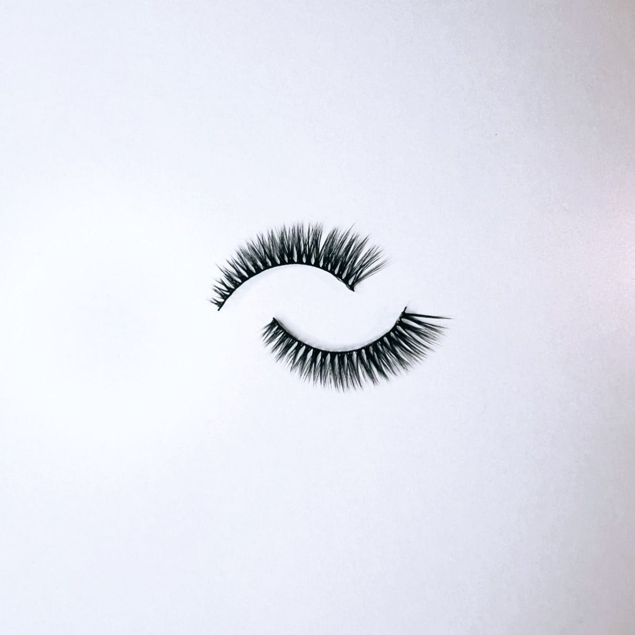 All Lashes – LUMINA